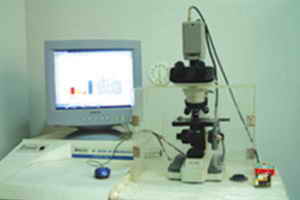精液化分析仪