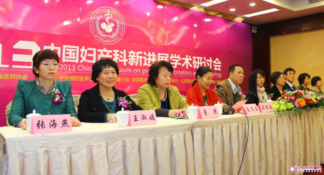 2013中国妇产科新进展学会研讨会成功举行