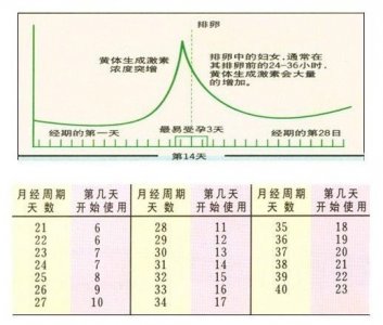 七大助孕技术之四联排卵监测法